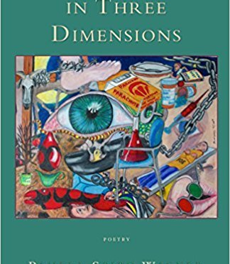 LEARNING TO SEE IN THREE DIMENSIONS: three poems from book